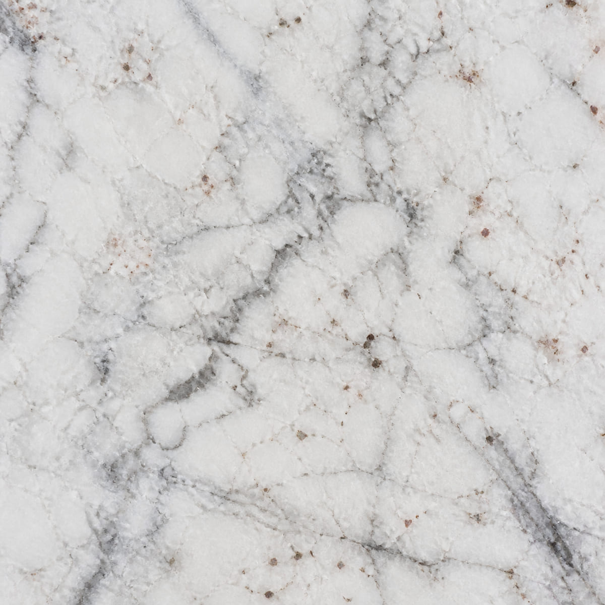 Close-up of a polished Alaska White dolomite countertop, white with grey veining and scattered copper-brown flecks