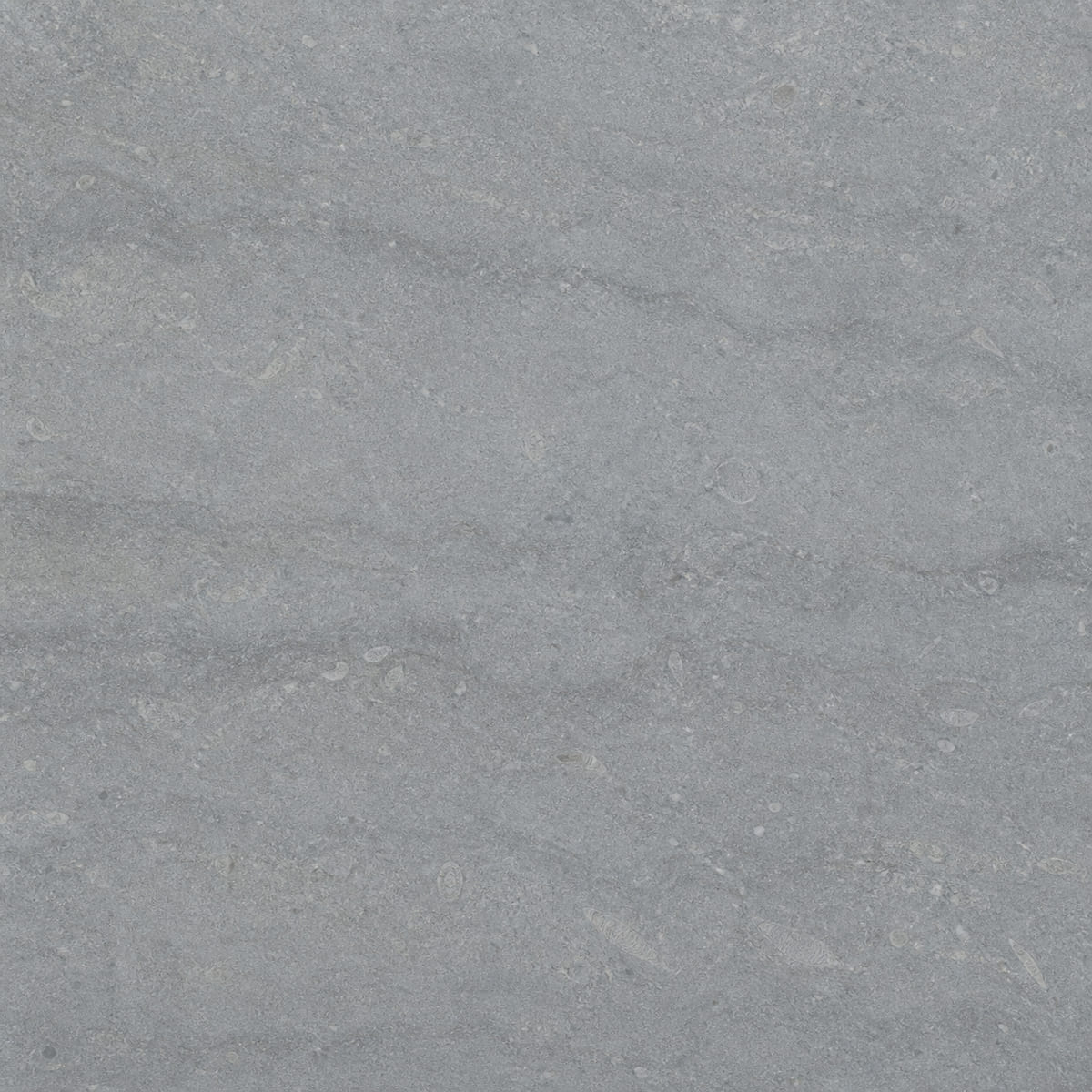 Close-up of a honed Lagos Azul limestone surface, grey-blue with faint banding and subtle shell fossil impressions