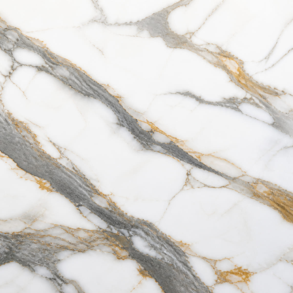 Close-up of a honed Calacatta Gold marble countertop, bright white with bold separated grey veins and warm gold banding